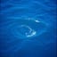 shades of blue