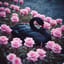 Murmures des Plumes Noires