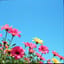 날아올라 (Fly High)