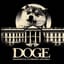 D.O.G.E.