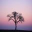 Leaving now, stepping away (Lyrics LP)