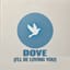 Dove (I’ll Be Loving You) (reprise)