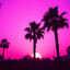 California Vibes