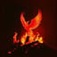 Ignite