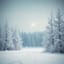 L'hiver au coeur