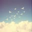 Les oiseaux se cachent pour chanter (Remastered)
