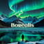 🇩🇪Borealis