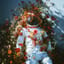 Lost in the Cosmos
