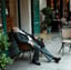 Langueur (Paul Verlaine)
