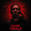 04 haine virale