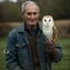 The owl and the elder