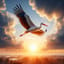 Der Klapper-Storch:  Hoch am Himmel, weit und frei,
