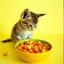 🥗 Is This Food? 🥗