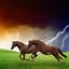 horses  (Remastered)