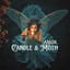 Candle & Moth