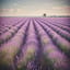 Sous le ciel de Provence