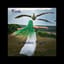 Birds on Endless Flights #SoundSeasons