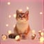 Chaton du désir secret 秘密の誘惑担当猫ちゃん 2025.4.16