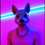 C'est qui le Good Boy?