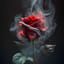 bloody rose