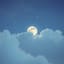 I’d Steal Hours from the Moon 我願向月亮竊取時光