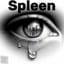 Spleen
