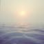 **Silent Spaces**  english hindi gujarati spanish BArbara E>D>H>D