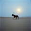 Gaziya Mın ( my cry ) R🐎