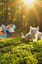 Cat Forest
