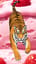 Tiger and Ice Cream