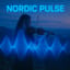 Nordic Pulse (Instrumental)