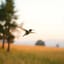 Colibri🇩🇪(Suziii Hummingbird)🇩🇪 (Remastered 4,5)