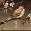 Wind Dancing Sparrow ～風に舞うすずめ～　日本の昔話