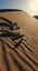 Qui sont ces serpents qui sifflent