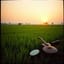 🎤เพลงขายของ – IN-SPIRE MUSIC OFFICIAL TH