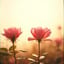 🎵 장미의 계절 (Season of Rose)