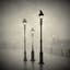 The Crows