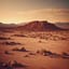 🕊️ Desert Flow