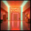 "Temple of Light Gospel at Night"