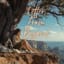 Letter From Beyond
