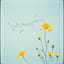 32 바람 속의 외침 A cry in the wind Ver 1 Range D3 to A4