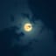 Moonlight