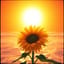 "Summer" (Vocal Drum and Bass)