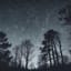 Hollow Starlight