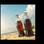 Summer Soda