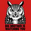 BIG BROTHER 👁️