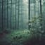 【ambient】Rainy