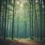 2. If crisis or war comes, the North wind whispers low,