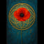 Le réfugié Coquelicot
