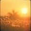 Ecos del Atardecer # Echi di Sera (Remix)